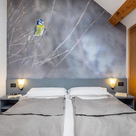 Pippo Hotel Terzolas エクステリア 写真